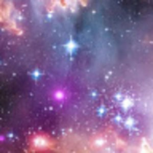 Meet your Posher, Harry